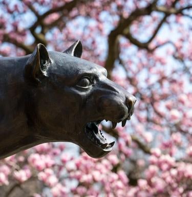 Panther statue with blossoming trees