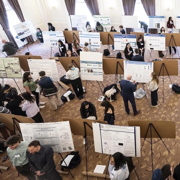 Students presenting at the 2024 Frederick Honors College Research Symposium