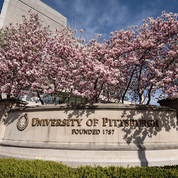 University of Pittsburgh signage with cherry blossoms in bloom.